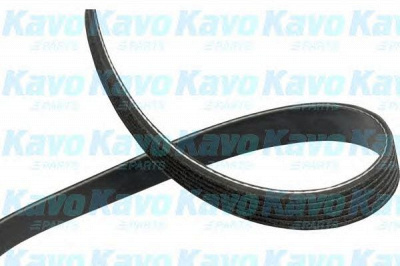 KAVO PARTS dmv4550 -  Поликлиновой ремень